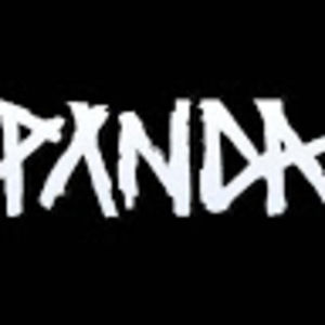 Meet your Posher, Pablo